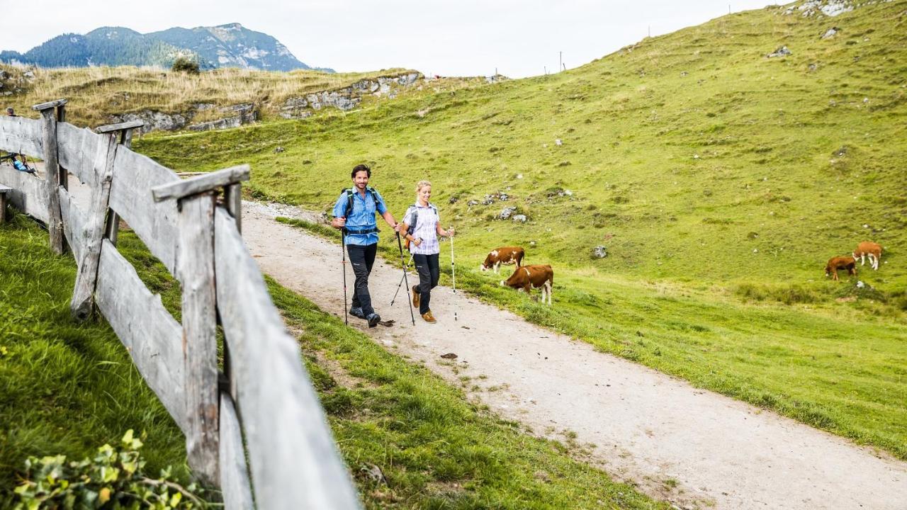 Pension Wolfsegg Kirchberg in Tirol Dış mekan fotoğraf