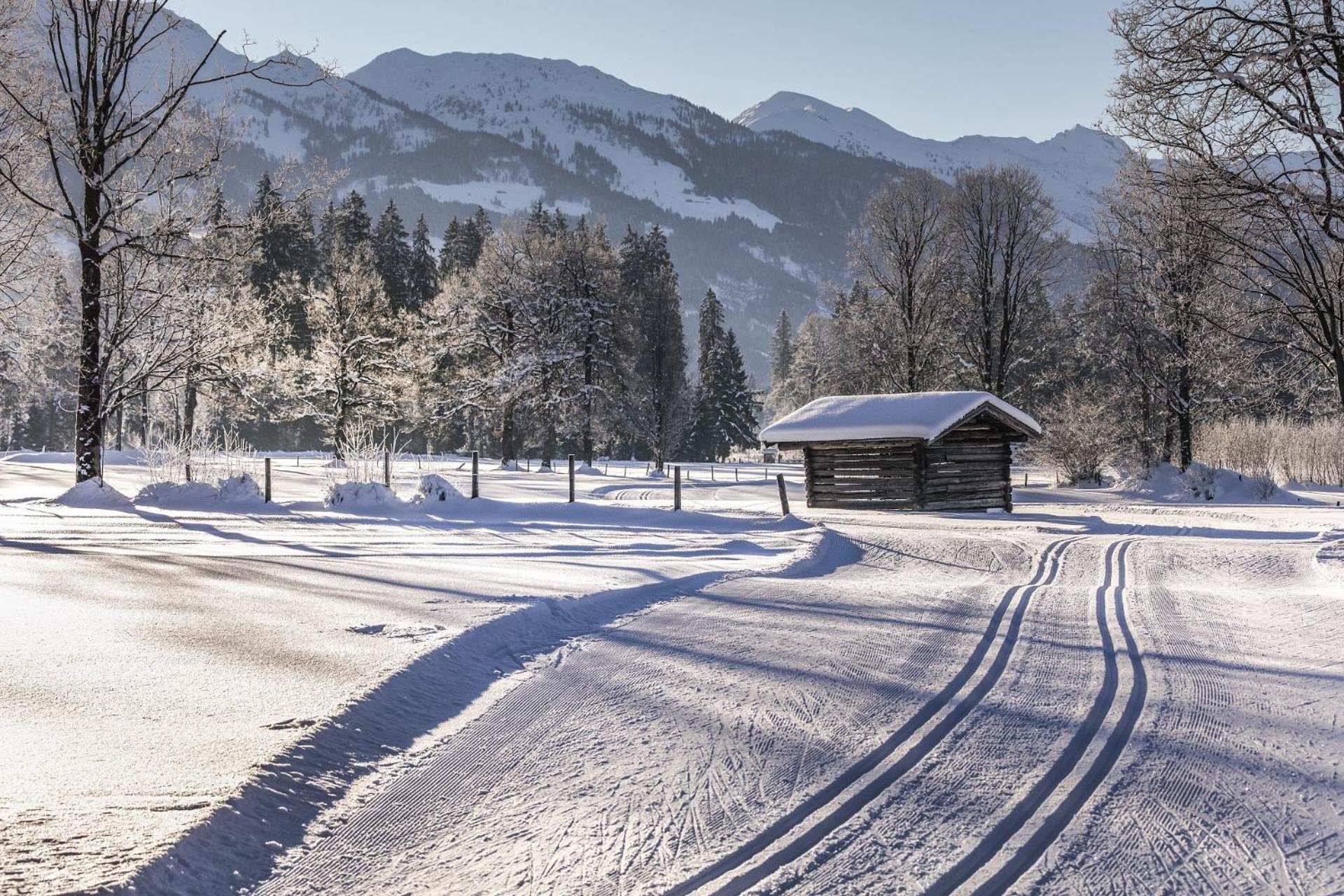 Pension Wolfsegg Kirchberg in Tirol Dış mekan fotoğraf